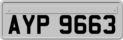 AYP9663