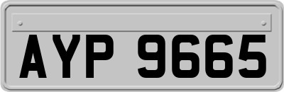 AYP9665