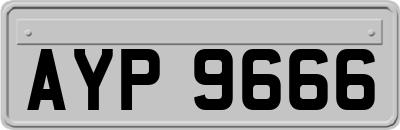 AYP9666