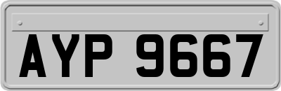 AYP9667