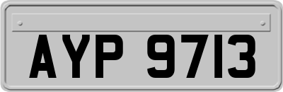 AYP9713