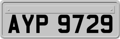 AYP9729