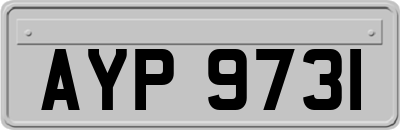 AYP9731