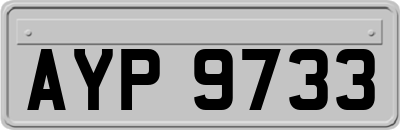 AYP9733