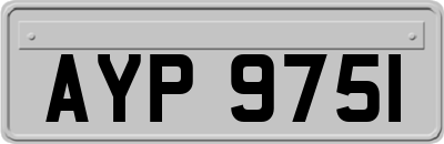 AYP9751