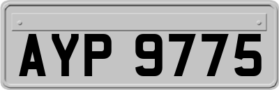 AYP9775