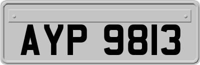 AYP9813