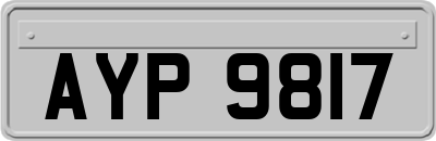 AYP9817