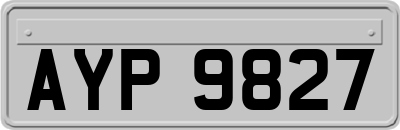 AYP9827