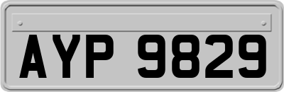 AYP9829