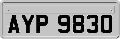 AYP9830
