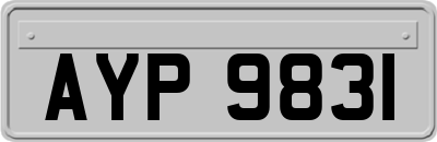 AYP9831