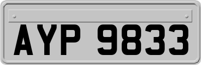 AYP9833