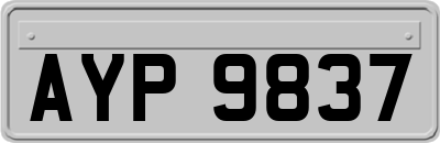 AYP9837