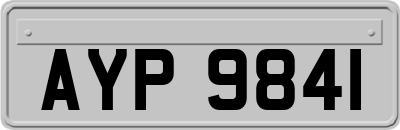 AYP9841