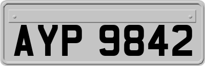 AYP9842