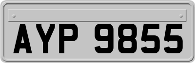 AYP9855