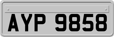 AYP9858