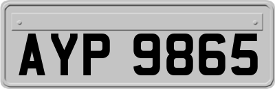 AYP9865