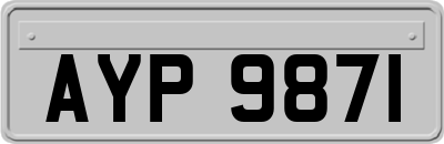 AYP9871