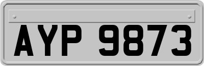 AYP9873