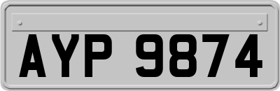 AYP9874