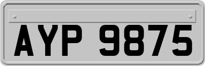 AYP9875