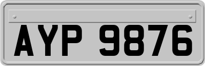 AYP9876