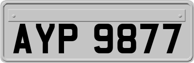 AYP9877