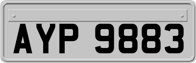 AYP9883