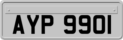 AYP9901