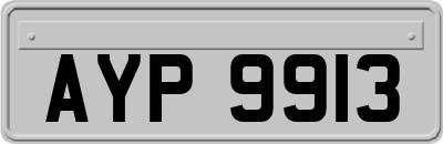 AYP9913