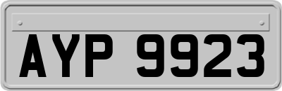 AYP9923