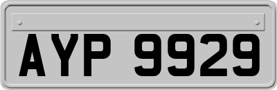 AYP9929