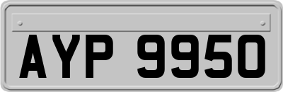 AYP9950