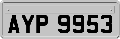 AYP9953