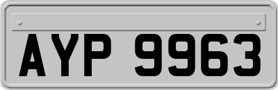 AYP9963
