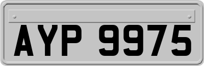 AYP9975