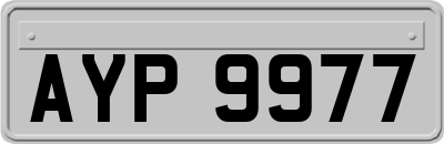 AYP9977
