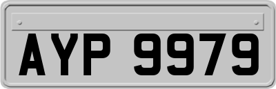 AYP9979