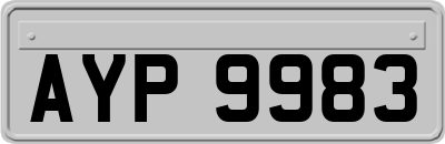 AYP9983