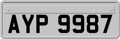 AYP9987