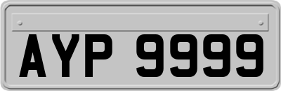 AYP9999