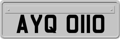AYQ0110