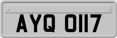 AYQ0117