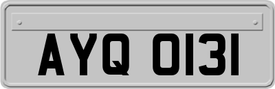 AYQ0131