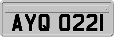 AYQ0221