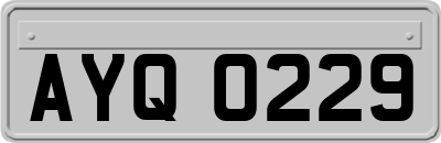 AYQ0229