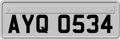 AYQ0534