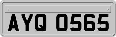 AYQ0565